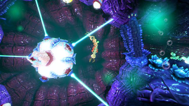 Into the Belly of the Beast