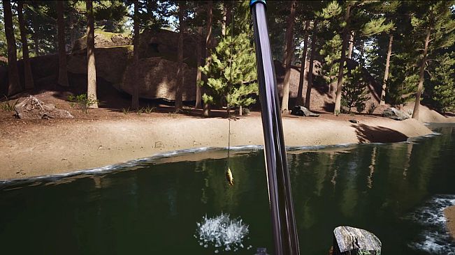 Don't Mess With Bober