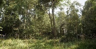 NextVisuals Benchmark Forest