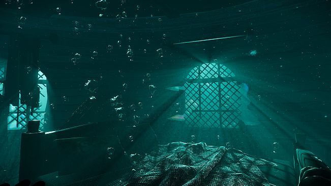 Deep Diving Adventures 2