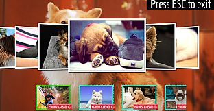 Puppy - Classic Jigsaw Puzzles