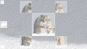 Puzzle Art: Predators