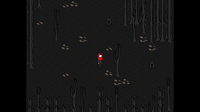 Ara and the Empty Universe