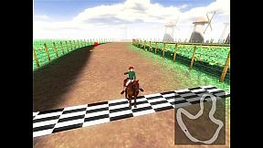 Reiterland - Meine Rennpferde