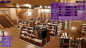 HOLLYWOOD DIRECTOR THE SIMULATION