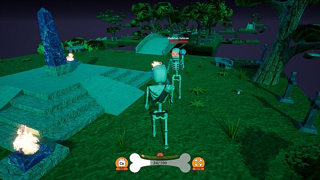 Bony Bones Adventures