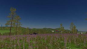 Poland Car Simulator