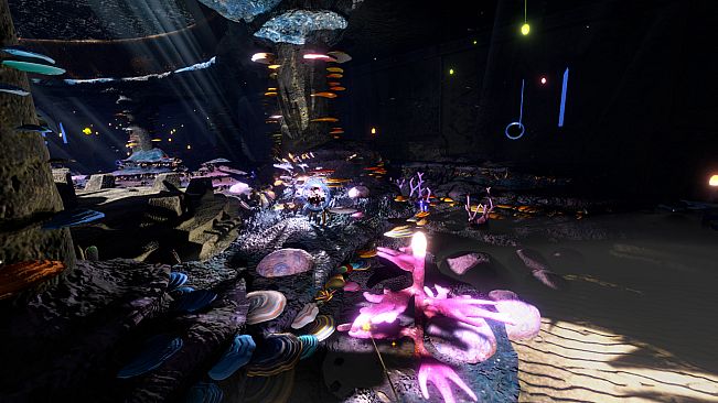 Essence of Illumination: The Beginning