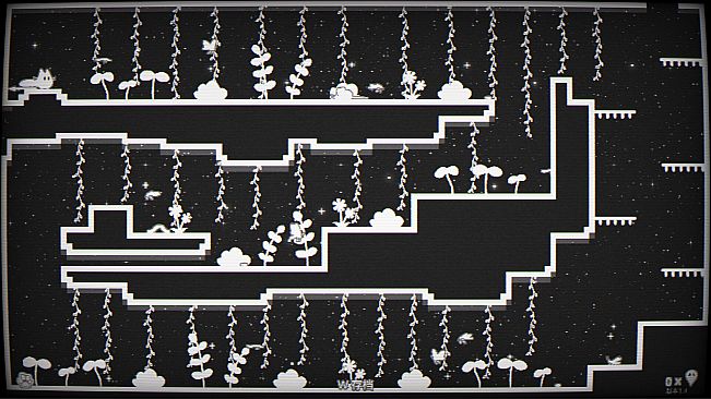 Cats Catching Mice: The Black and White World