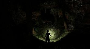 Cypress Inheritance: The Beginning