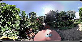 Exhale XR - Good Day Vibes