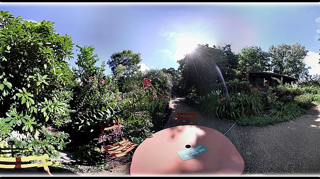 Exhale XR - Good Day Vibes