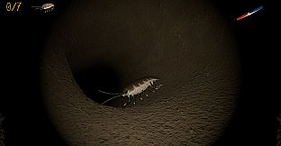 A little Jumpingspider's Garden Adventure (Day 1+2)