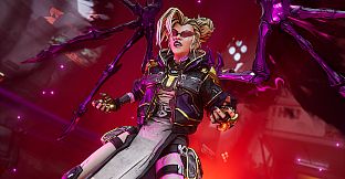 Borderlands4: Ornate Order Pack