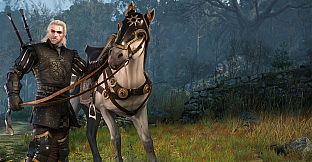 The Witcher 3: Wild Hunt - Nilfgaardian Armor Set