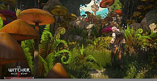 The Witcher 3: Wild Hunt - Expansion Pass