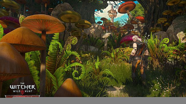 The Witcher 3: Wild Hunt - Expansion Pass