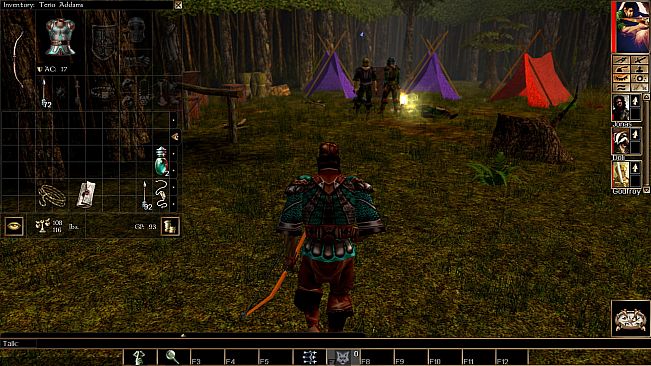 Neverwinter Nights: Wyvern Crown of Cormyr
