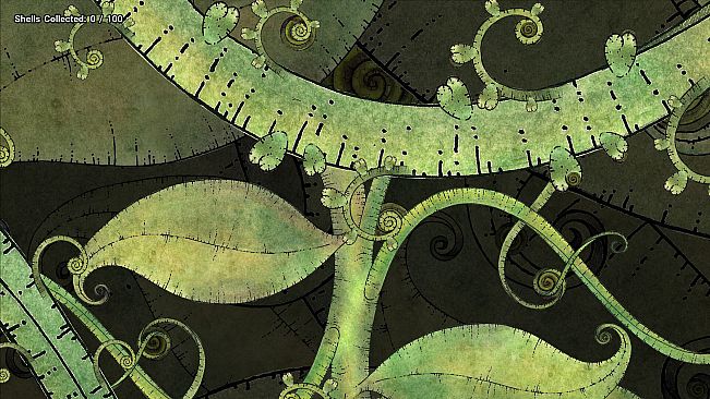 Lost my Collection of 100 Shells