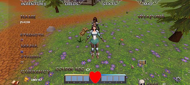 Magical Kingdom Fantasy