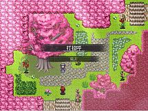 Flowering Across 樱下花期