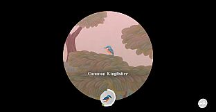 Junior Birder Adventure