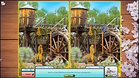 I Love Finding Cats! Collector's Edition