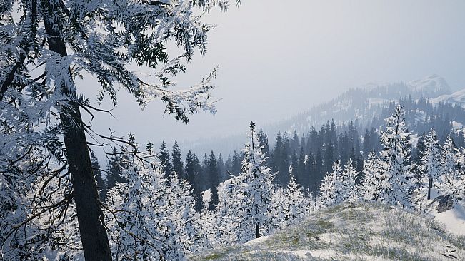 Wildwood: Hearth & Horizon