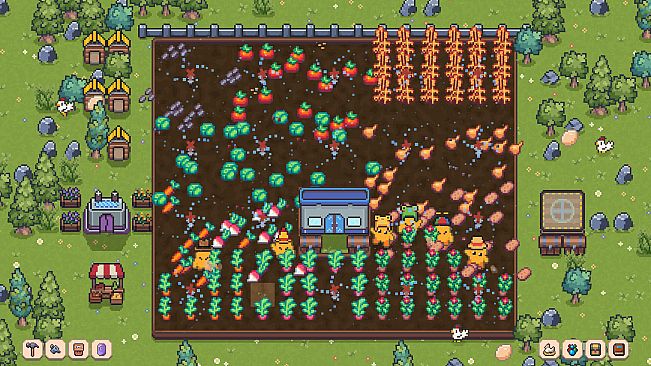 Sprout's Meadow