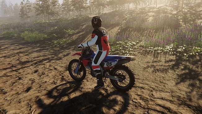 Enduro Unleashed