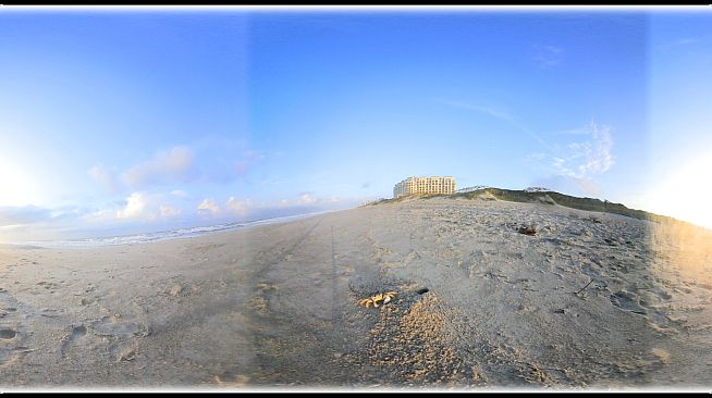 Exhale XR - Aquatic Wildlife