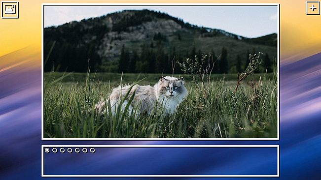 Super Jigsaw Puzzle: Generations - Cats Puzzles