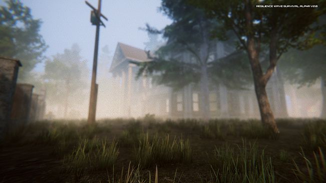 Resilience Wave Survival