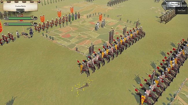 Field of Glory II: Medieval - Sublime Porte