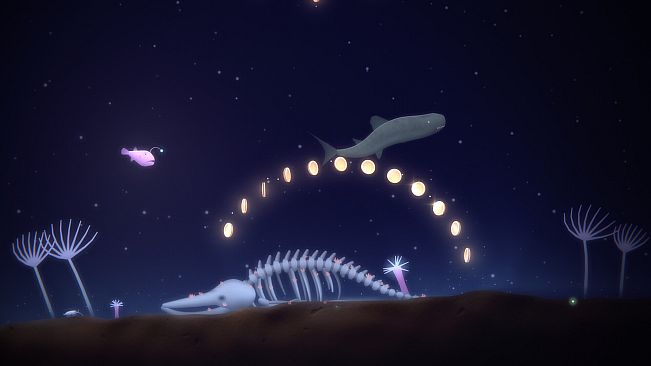 Fish Don't Return