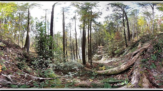 Exhale XR - Fortitude - Spoken Word