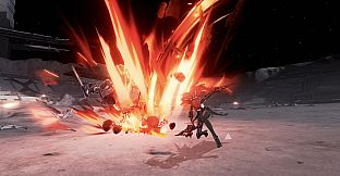 Punishing: Gray Raven