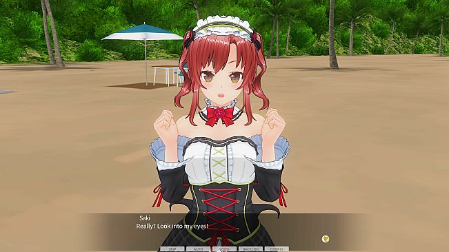 CUSTOM ORDER MAID 3D2&2.5+ X1+Vol.01