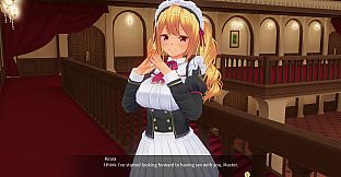 CUSTOM ORDER MAID 3D2 Character EX Pack Gyaru