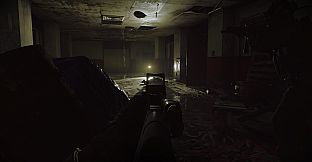 Ready or Not: Home Invasion