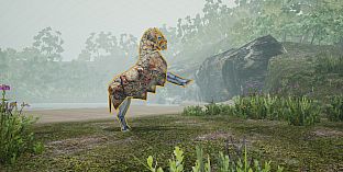 Neither Cross Nor Crown