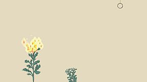 Wrist Catcher-寸关