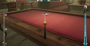 Carom Billiards