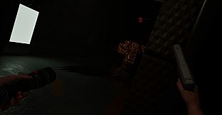 The Eternal Experiment