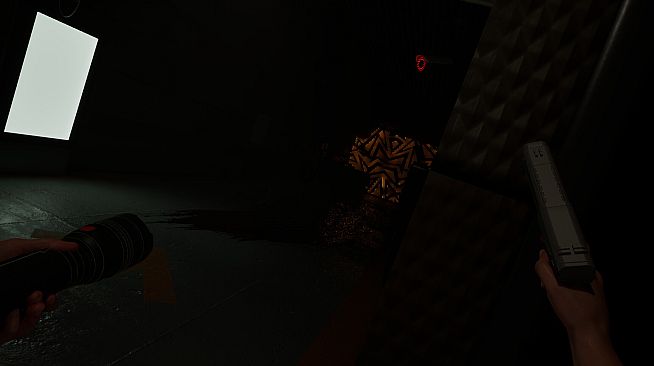 The Eternal Experiment