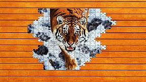 Big Cat Jigsaw Quest