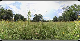 Exhale XR - Graceful Skies