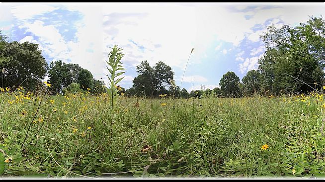 Exhale XR - Graceful Skies