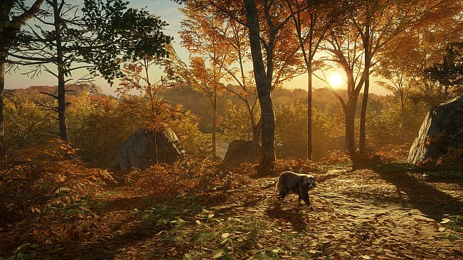 theHunter: Call of the Wild - Salzwiesen Park - Windows10