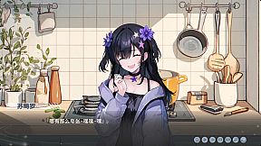 心所向往的北极星